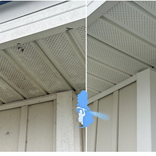 Baldwin-Countys-Top-House-Washing-Company-Transforms-Home-in-Jubilee-Farms-Daphne 5